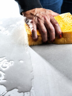 Cellulosasvamp Komprimerad 10st