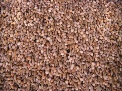 Prestige Undulat Joman 20kg