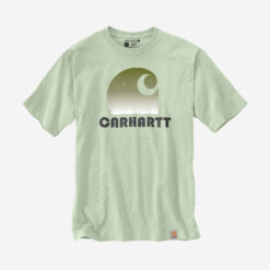 Carhartt Heavy S/S C Graphic T-Shirt – TENDER GREENS